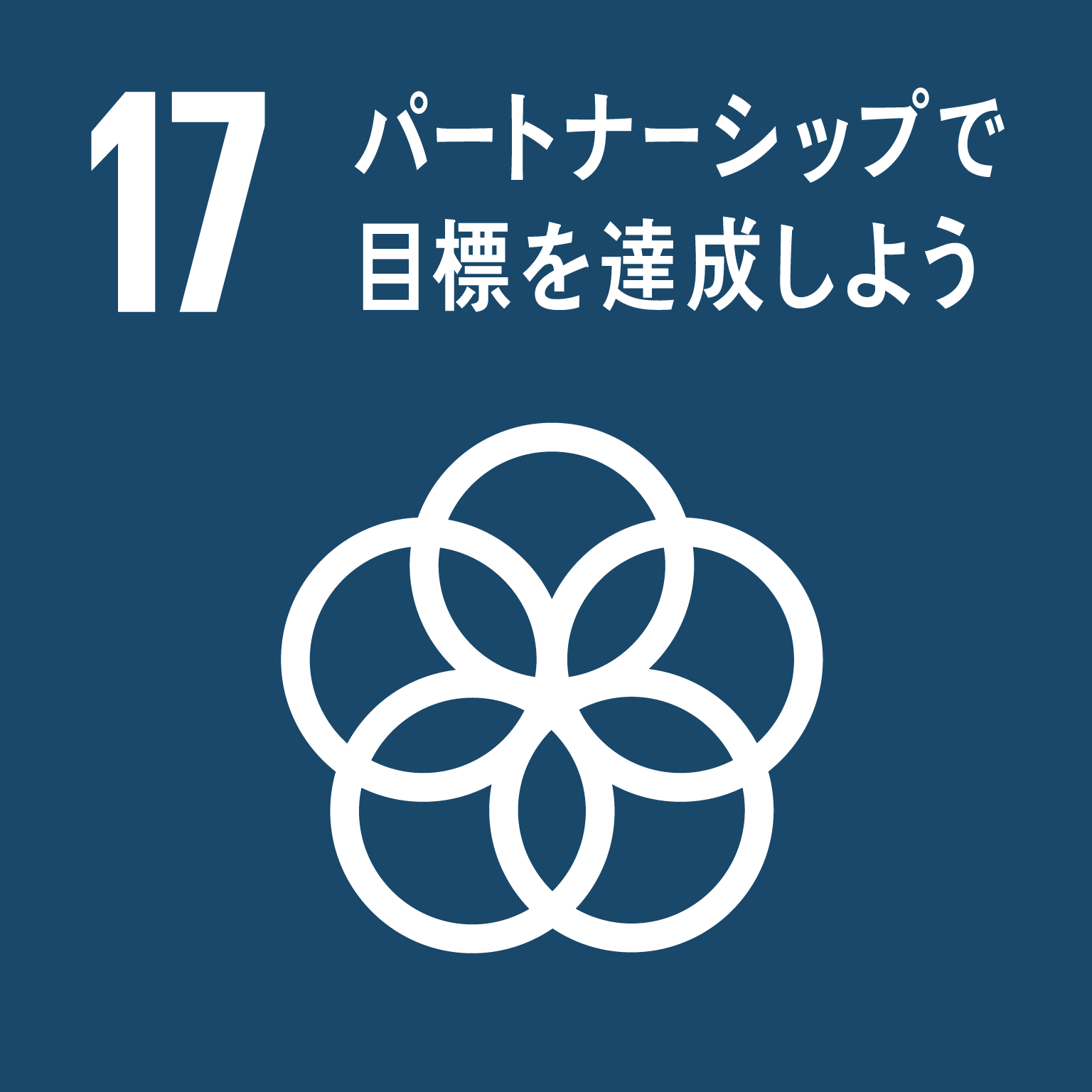 目標17: パートナーシップで目標を達成しよう